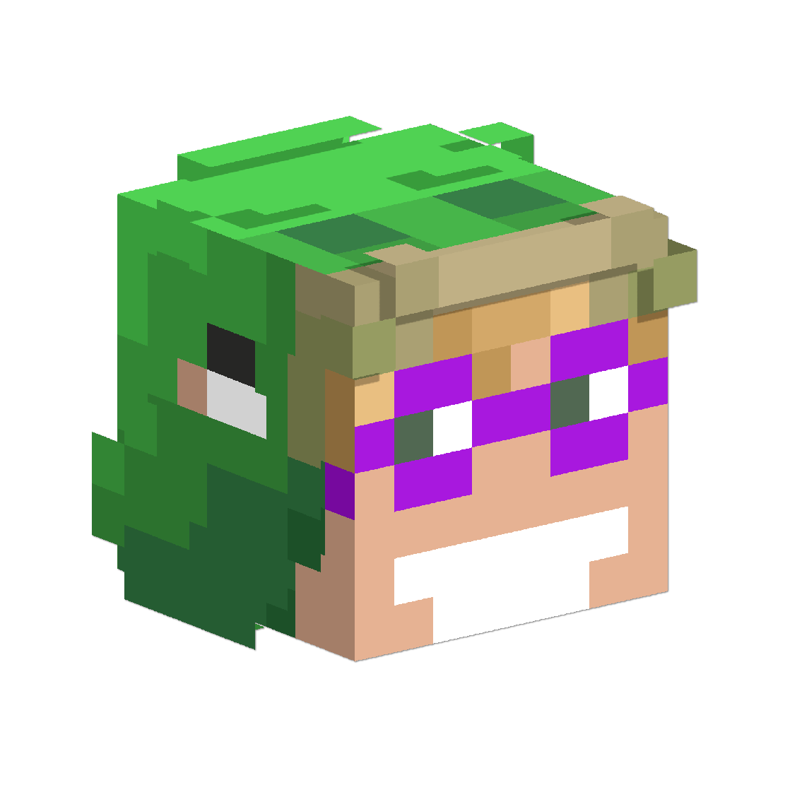 Minecraft avatar TurtleManPurple